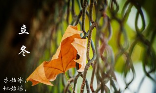 关于立冬的民间习俗和气候特点（立冬节气的气候特点）