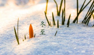 2021描写冬至的优美句子 2021描写冬至的优美句子短句