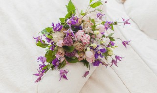 鲜花怎么醒花（鲜花怎么醒花视频）