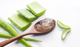 涂芦荟胶要涂几遍 涂芦荟胶要涂几遍才有效果