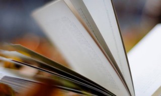 鸡的组词 鸡的组词和造句