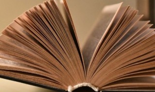 议论的议组词（议论的议组词成语）