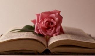 超字组词 超怎么组词