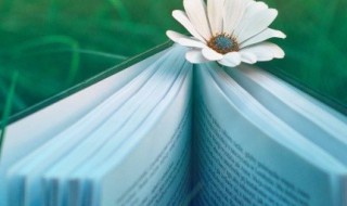 禁的组词 禁的组词和拼音