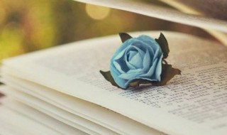 澎的组词（澎的组词语和拼音）