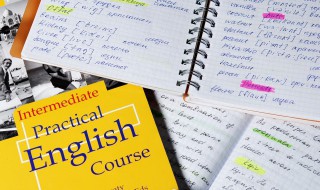 大象的英语怎么读 大象的英语怎么读 单词