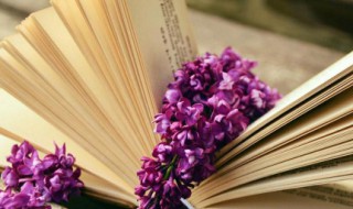 然字组词语 然字组词语词