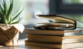 人的组词有哪些 人的组词有哪些人在前面