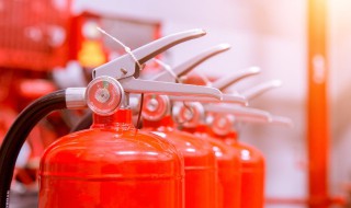 关于森林防火手抄报 关于森林防火手抄报图片大全