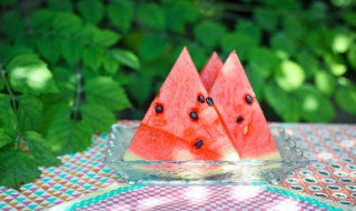 关于夏季的四字词语(关于夏季的四字词语十个)