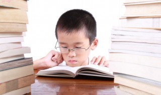 枫树的养殖方法（枫树的养殖方法和注意事项）