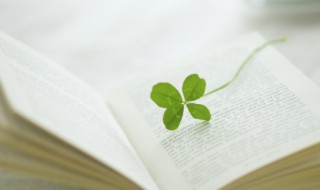 莶怎么读音（莶怎么读音读出来）