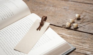 恣睢之臣是什么意思(恣睢之臣是什么意思怎么读)