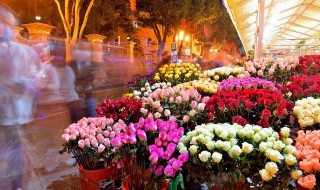 香水玫瑰的养殖方法（盆栽香水玫瑰怎么养）