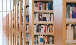 荘怎么读（蒲怎么读）