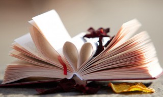 撂怎么读音（撂怎么读音是什么意思）