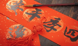 剖析怎么读（剖析怎么读拼音怎么写）