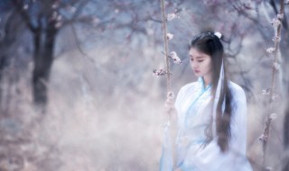 凫凫炊烟怎么读（凫凫炊烟升起）