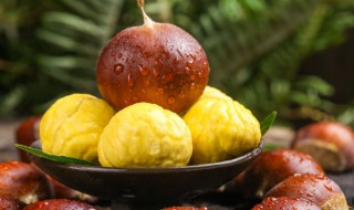 板栗哪里产的最好吃(板栗哪里产的最好吃最便宜)