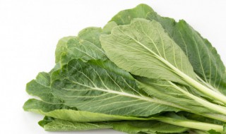 腌芥菜疙瘩怎样腌好吃(腌芥菜疙瘩怎样腌好吃不坏)