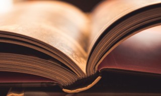 落字组词（婚字组词）