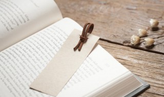 殪怎么读 殪应该怎么读