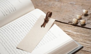 荈怎么读(槚蔎茗荈怎么读)