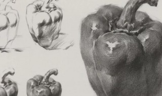 速写线条的练习方法(速写线条训练)