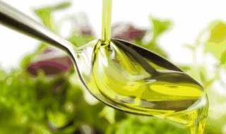 橄榄油美容护肤方法（橄榄油美容护肤方法视频）