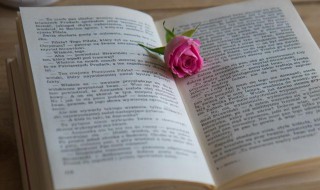 愿天上人间占得欢娱年年今夜的意思（愿天上人间,占得欢娱,年年今夜.(宋 柳永《二郎神》）