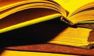 少壮能几时鬓发各已苍的意思 鬓发苍苍什么意思