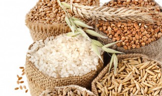 糯米怎么挑选好吃的 糯米怎么挑选好吃的呢