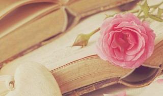 鸟宿池边树僧敲月下门的意思（鸟宿池边树僧敲月下门的意思是什么的下一句）