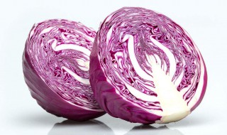 紫甘蓝怎么挑选好吃的 如何挑选紫甘蓝