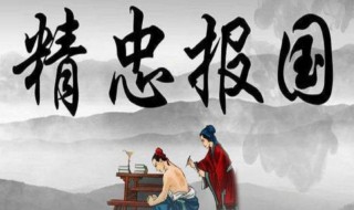 一身报国有万死双鬓向人无再青的意思 一身报国有万死双鬓向人无再青的含义