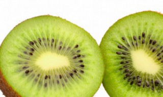 猕猴桃怎么留种子 猕猴桃种子如何种植