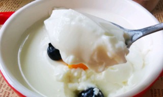 香草牛奶布丁的做法 香草牛奶布丁的做法窍门