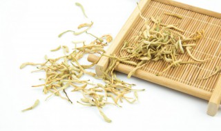 金银花怎么剪枝 金银花怎么剪枝种植