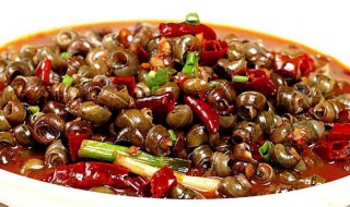 生田螺可以冷冻保存吗? 生田螺可以冷冻保存吗能放多久