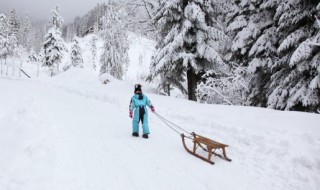 清纯好听有雪字的网名(清纯好听有雪字的网名女)
