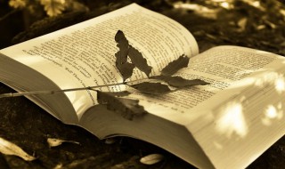 物议是什么意思 物议解释