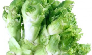 儿菜是什么菜呀 儿菜是什么菜呀图片