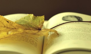 前程远大是什么意思 远大前程为什么叫远大前程