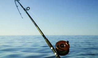 细鳞鱼养殖技术 细鳞鱼的养殖技术