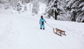 雪在车上不清理伤车吗（车子上有雪建议清扫吗?）