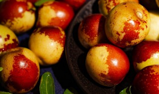 冬枣嫁接的时间和方法 冬枣的嫁接技术要点