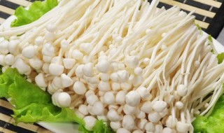 金针菇种植方法（金针菇种植方法有几种）