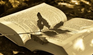 语妙绝伦的意思（语妙绝伦的意思和拼音）