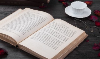 不可限量的意思(不可限量的意思和造句)