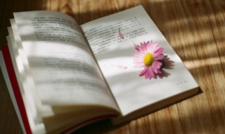 恶作剧的意思(恶作剧的意思是什么意思)